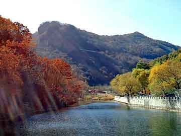 新澳门期期准精准，龙岗装饰